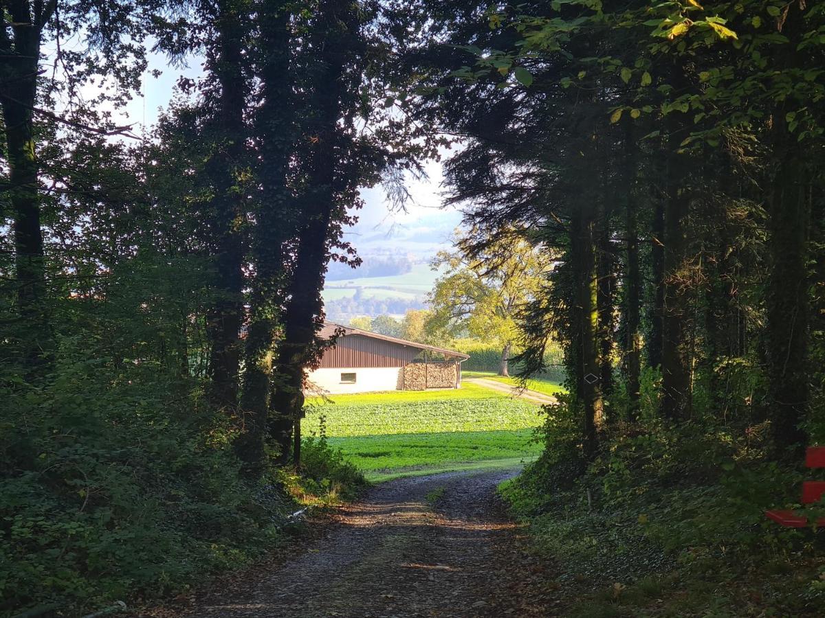 Familiy & Kids Suite Im Herzen Der Schweiz Dietwil 외부 사진
