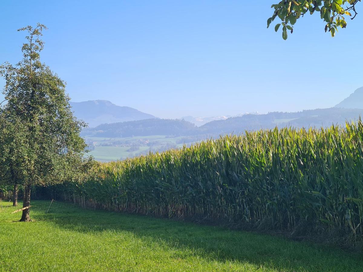 Familiy & Kids Suite Im Herzen Der Schweiz Dietwil 외부 사진